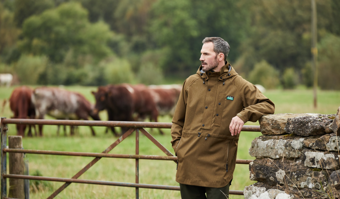 Ridgeline of New Zealand