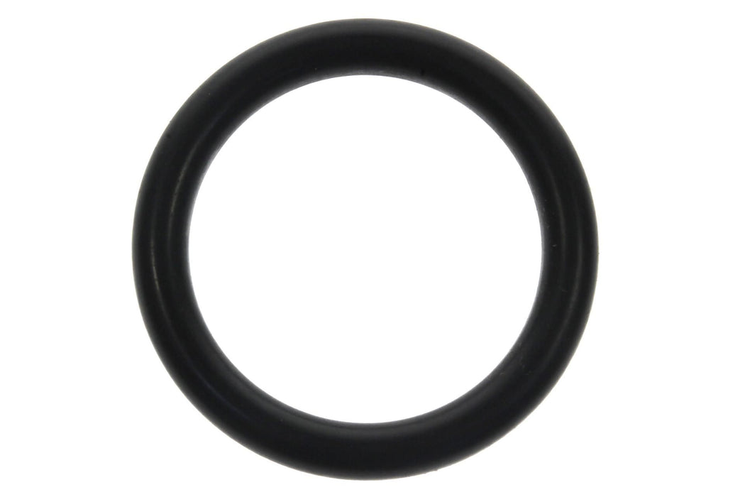 CAN-AM O-RING, 420631640