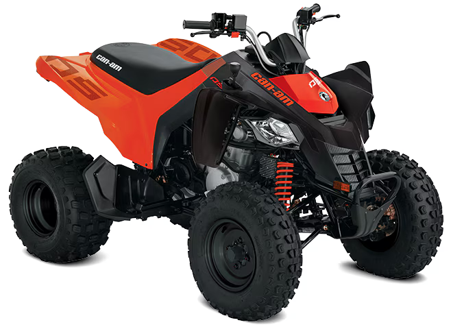 2026 Can-Am DS STD 250