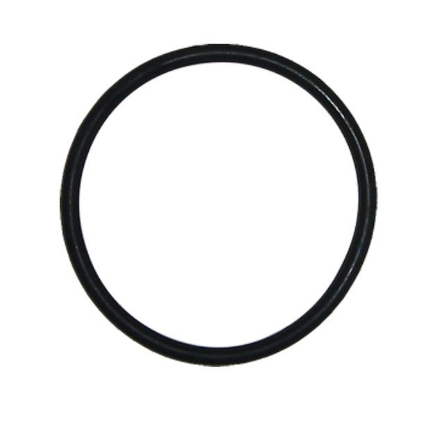CAN-AM O-RING, 420250050