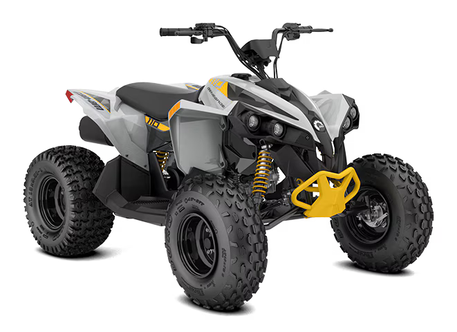 2026 Can-Am Renegade EFI 110